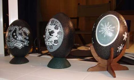 Sculpting Emu Eggs: The Color is in the Shell Image